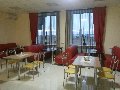 увеличить Сокол в Сорочинске